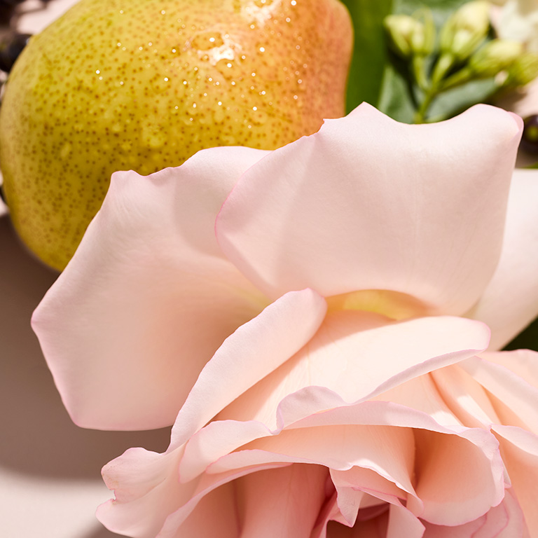 Nahaufnahme von Rose, Jasmin und Birne - die Duftnoten von Mary Kay Confidently You Eau de Parfum