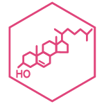 Illustration (pink) eines Inhaltsstoffs: Cholesterin