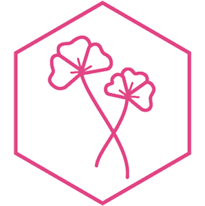 Stilisiertes Icon mit zwei Ginkgobl&auml;ttern an gekreuzten Stielen, umgeben von einem rosa Sechseck