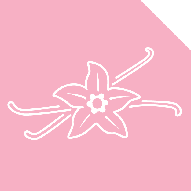 Illustration of Vanilla Bean flower