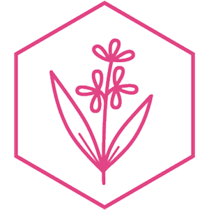 Piktogramm einer stilisierten Blume mit zwei Bl&auml;ttern und drei Bl&uuml;ten innerhalb eines rosa Sechsecks